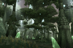 Terokkar Forest